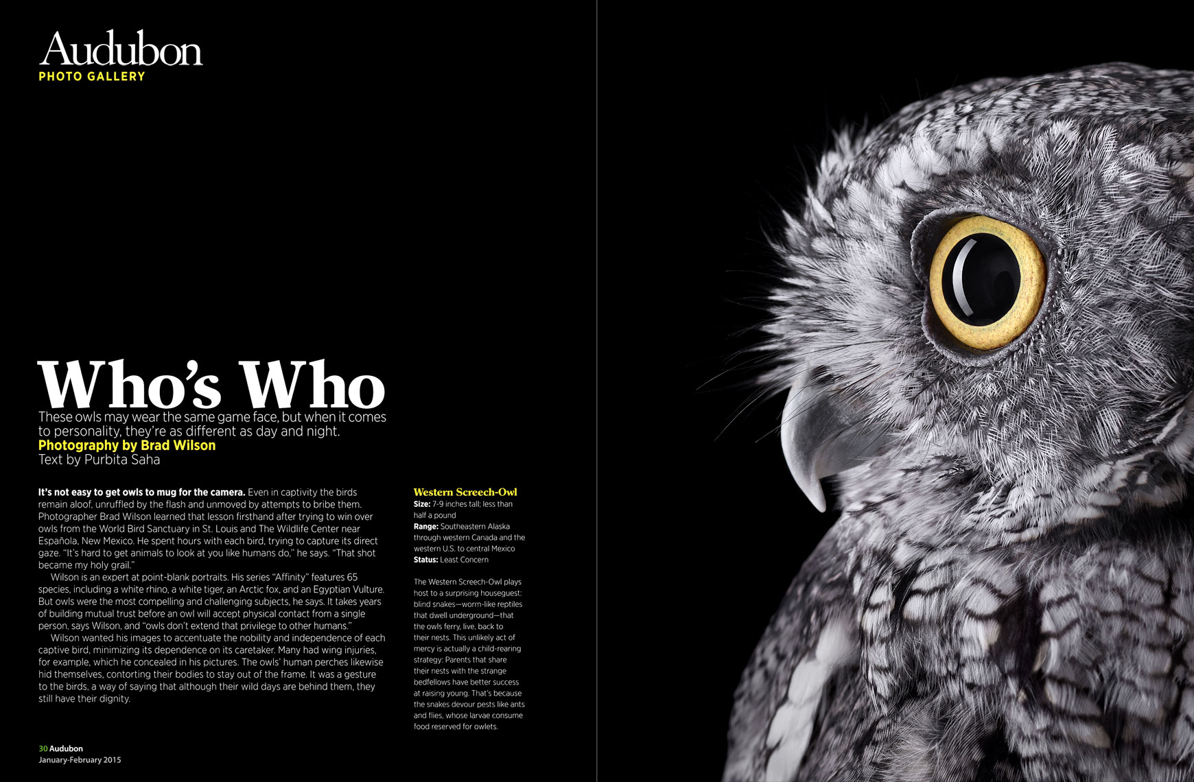 Audubon Magazine article by fine art animal photographer Brad Wilson