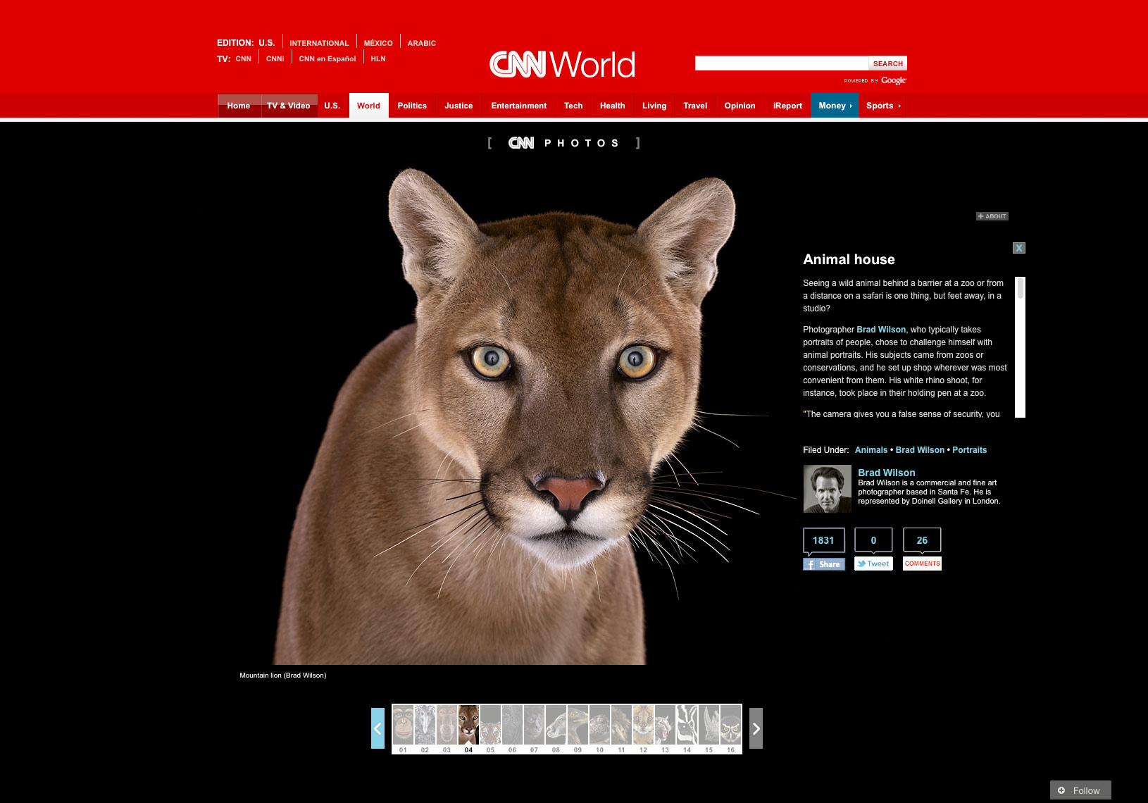 CNN article about fine art wildlife photographer Brad Wilson