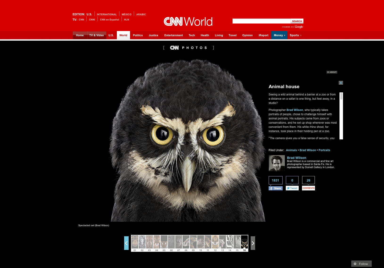 CNN article about fine art animal photographer Brad Wilson