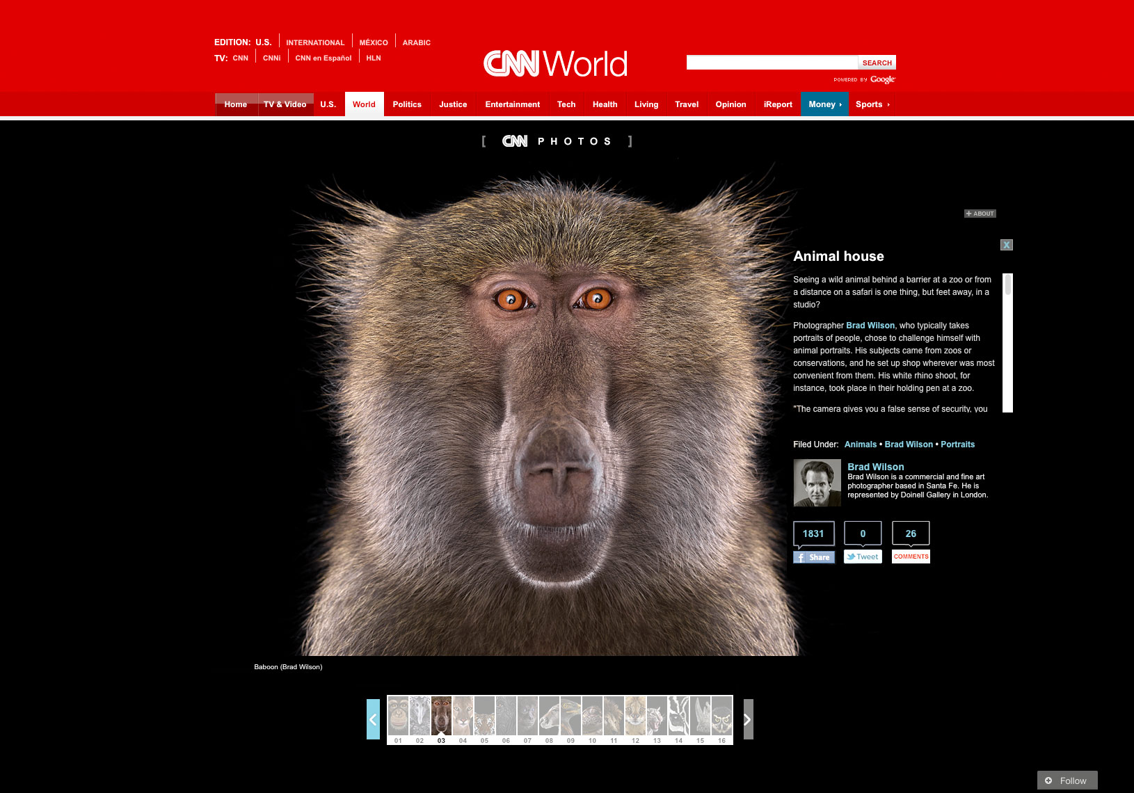 CNN article about animal photographer Brad Wilson