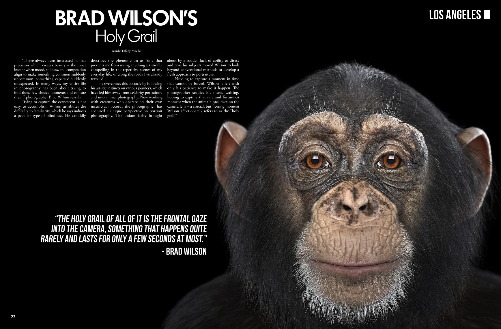 Creativ Magazine article by fine art animal photographer Brad Wilson