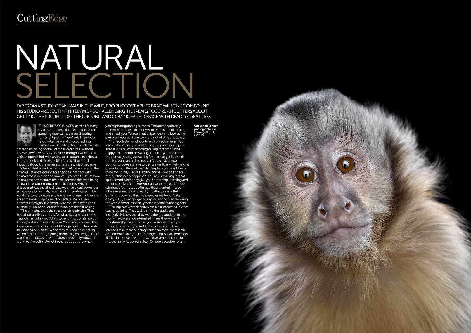 DSLR Magazine article about fine art wildlife photographer Brad Wilson