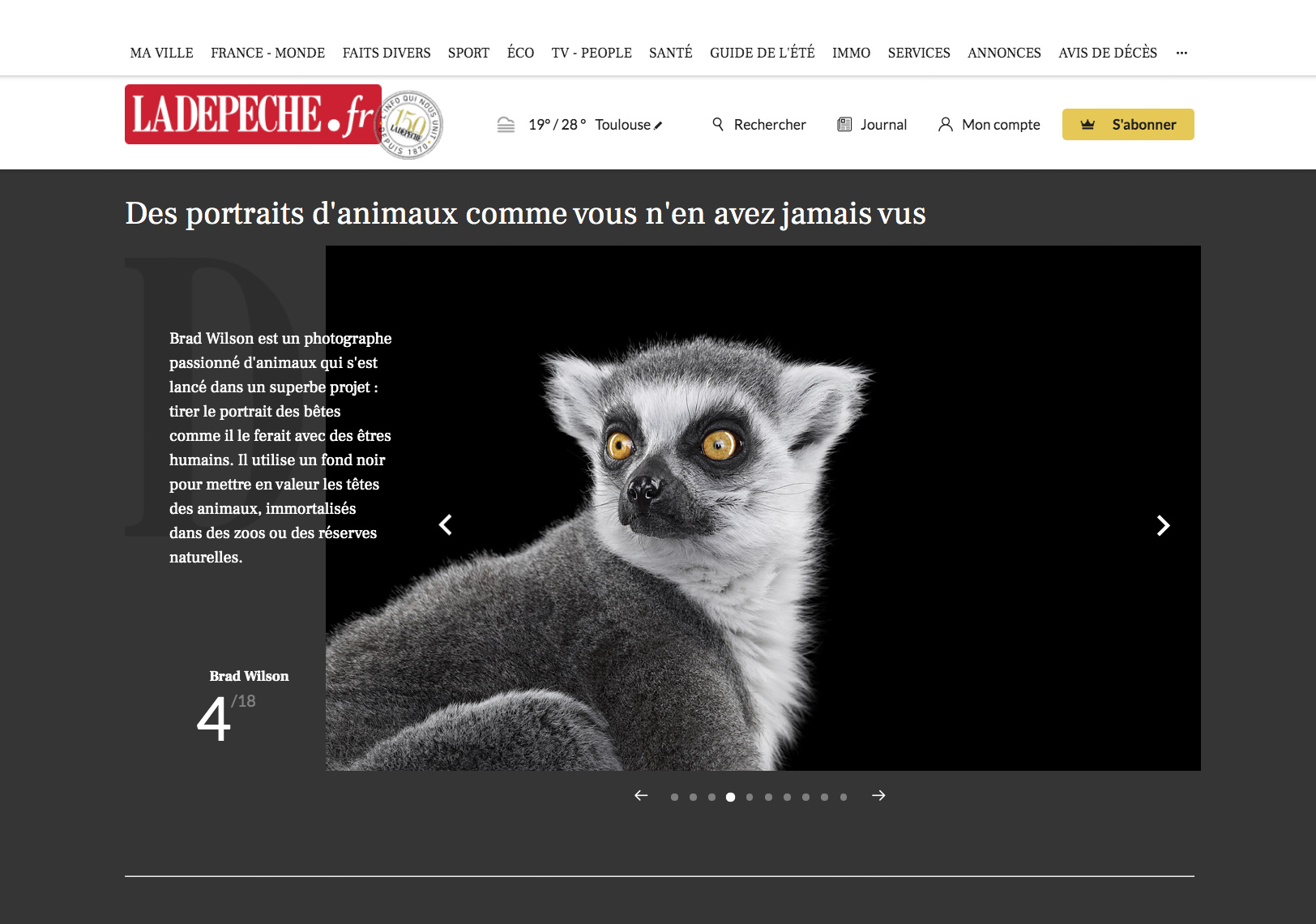 La Depeche article about fine art wildlife photographer Brad Wilson