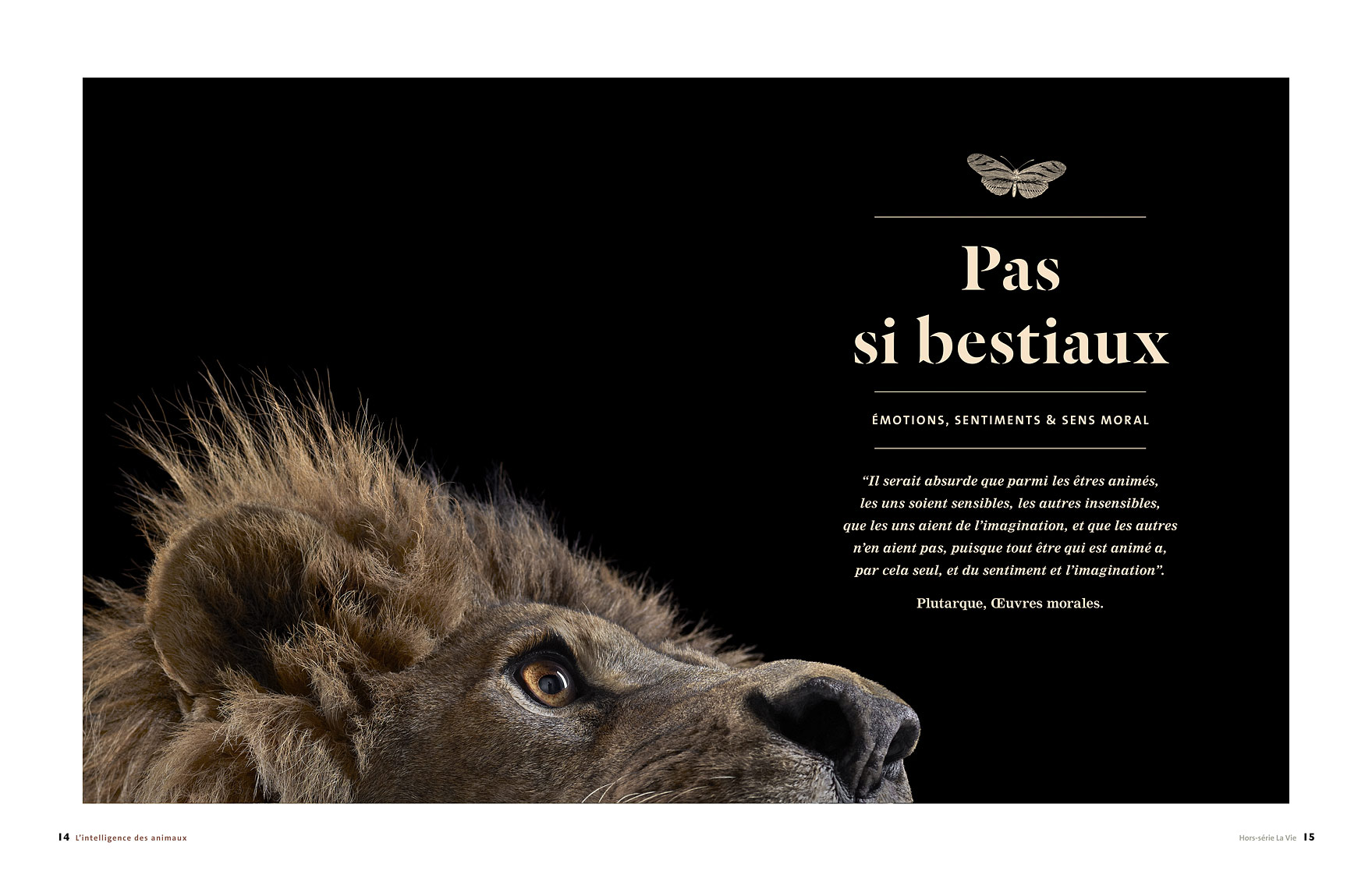 La Vie Magazine article about animal photographer Brad Wilson