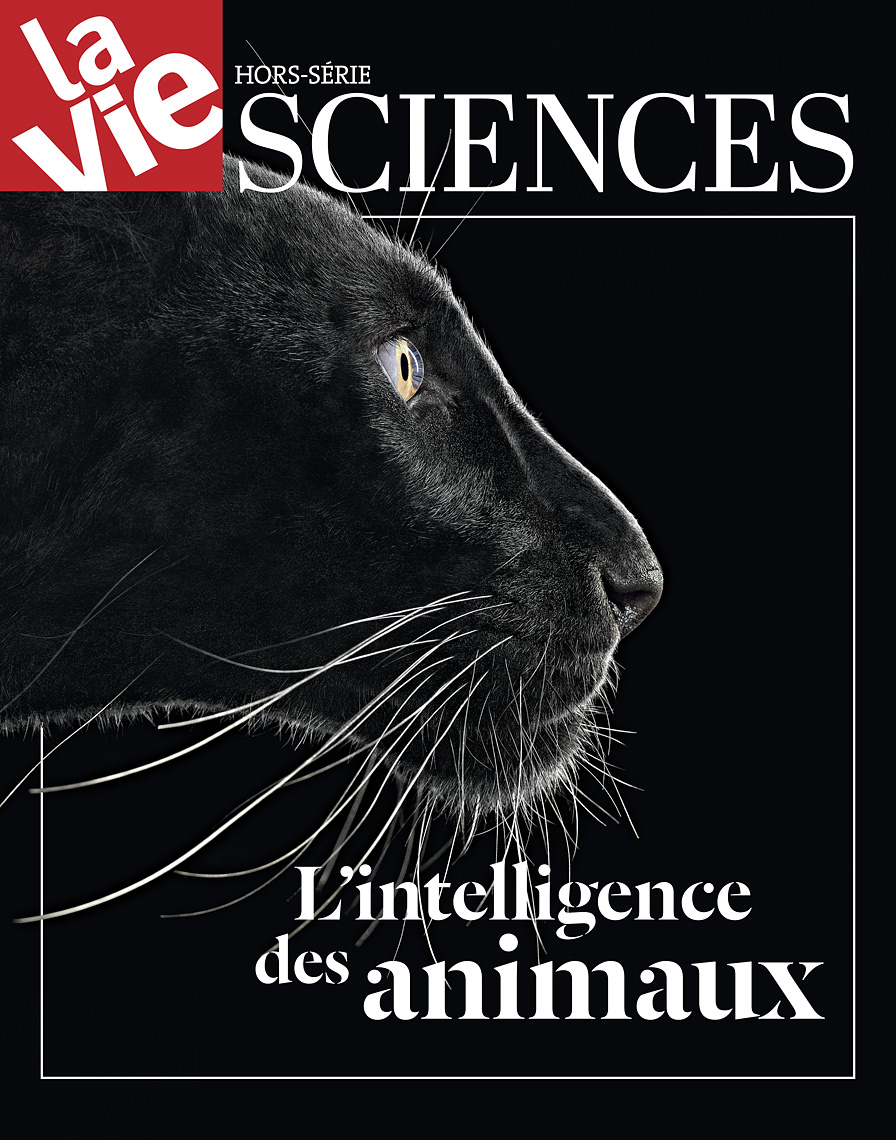 La Vie Magazine cover by animal photographer Brad Wilson