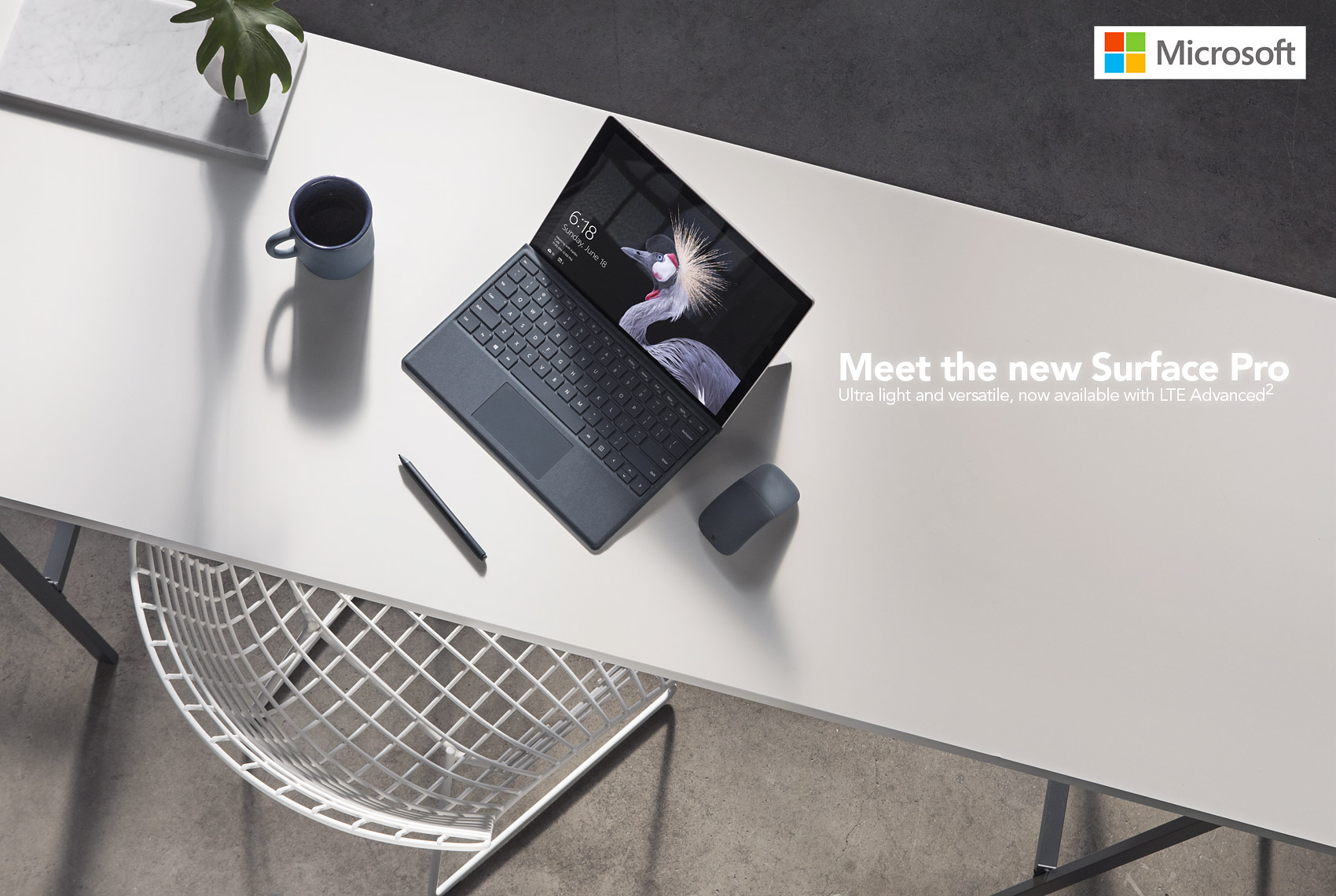 Microsoft advertisement by wildlife photographer Brad Wilson