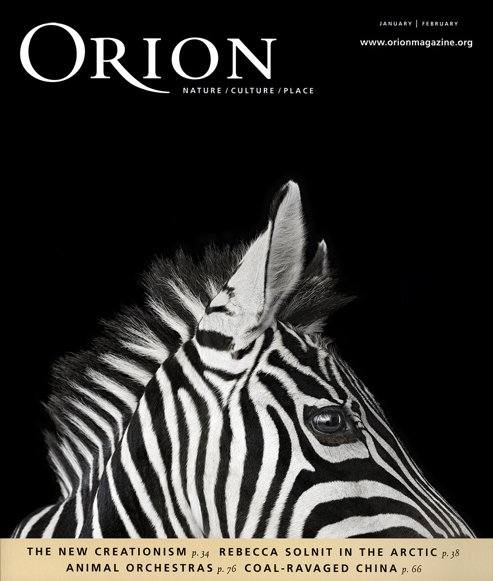 Orion Magazine cover by fine art wildlife photographer Brad Wilson