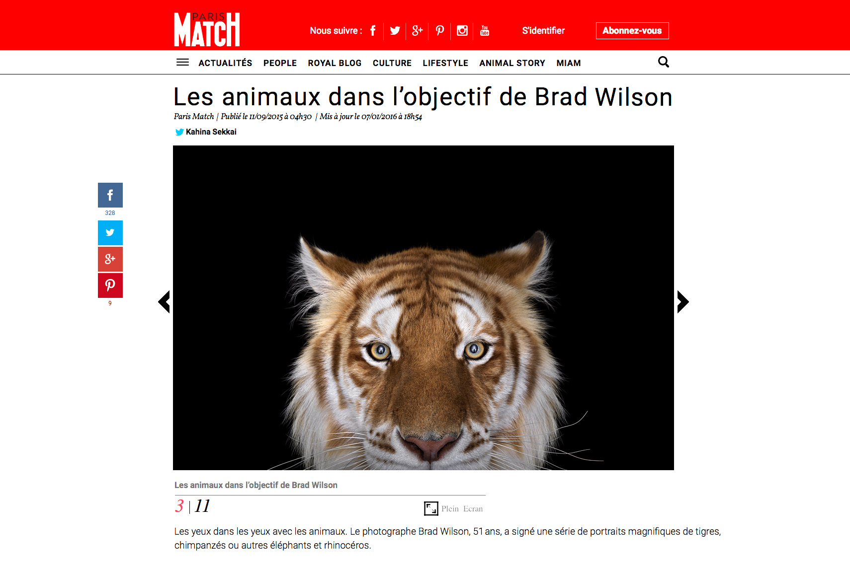 Paris Match article about fine art wildlife photographer Brad Wilson