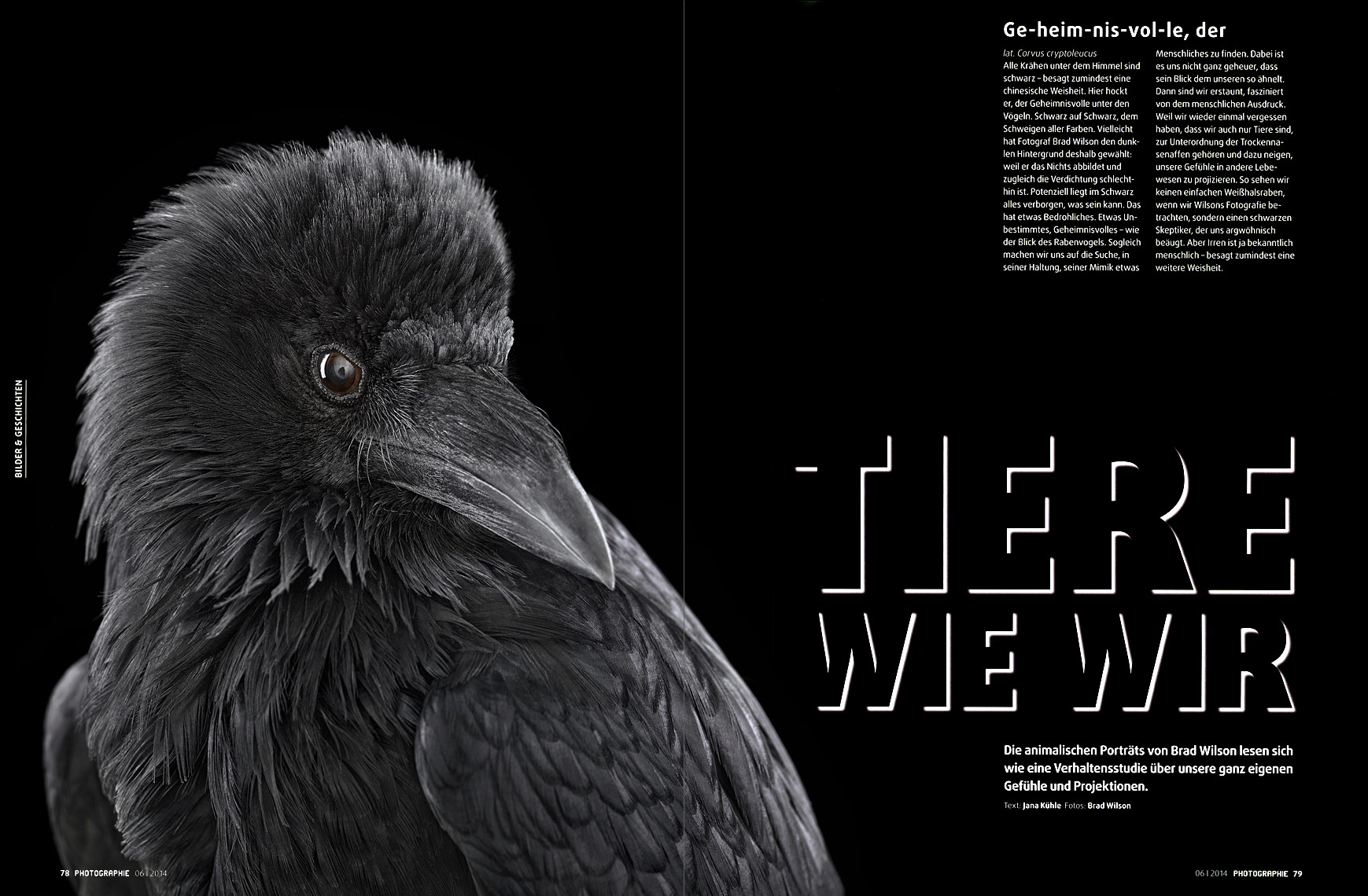 Photographie Magazine article about fine art wildlife photographer Brad Wilson