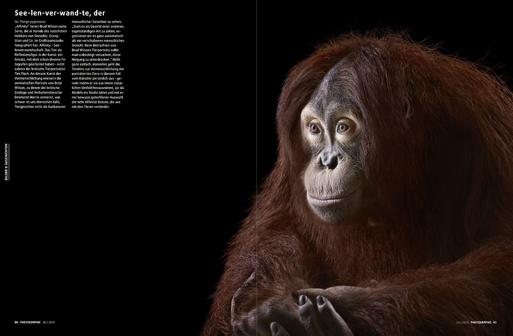 Photographie Magazine article about fine art animal photographer Brad Wilson