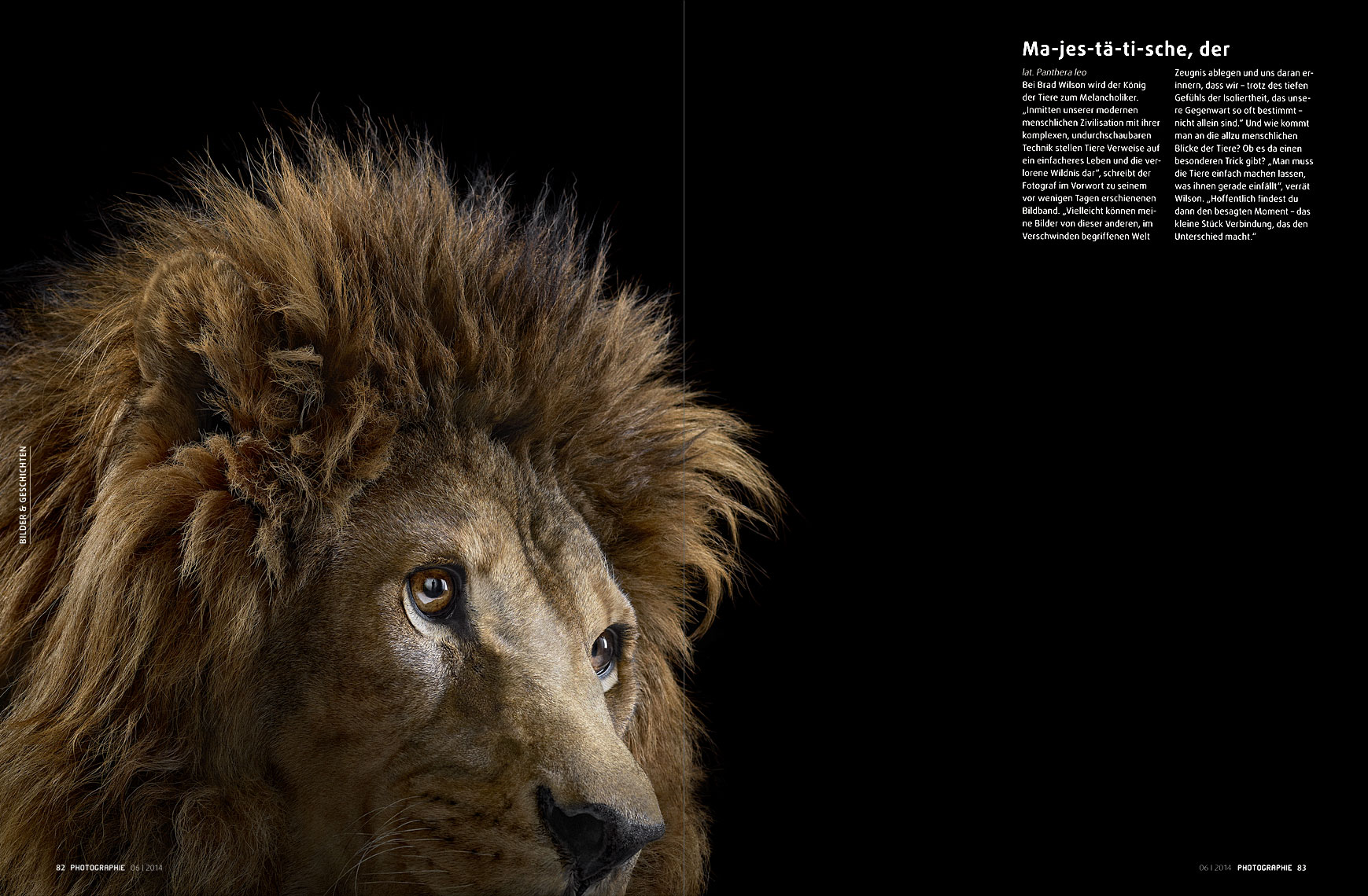 Photographie Magazine article about wildlife photographer Brad Wilson