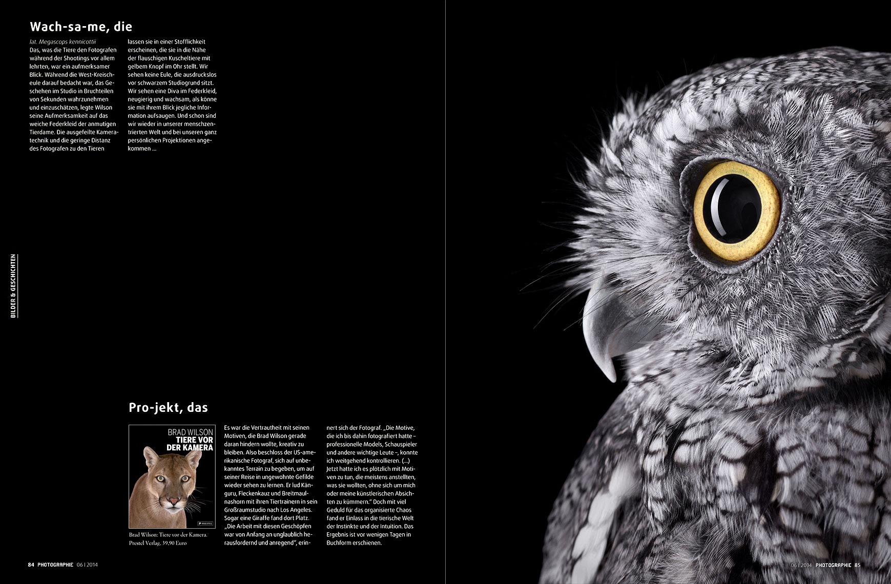Photographie Magazine article about animal photographer Brad Wilson