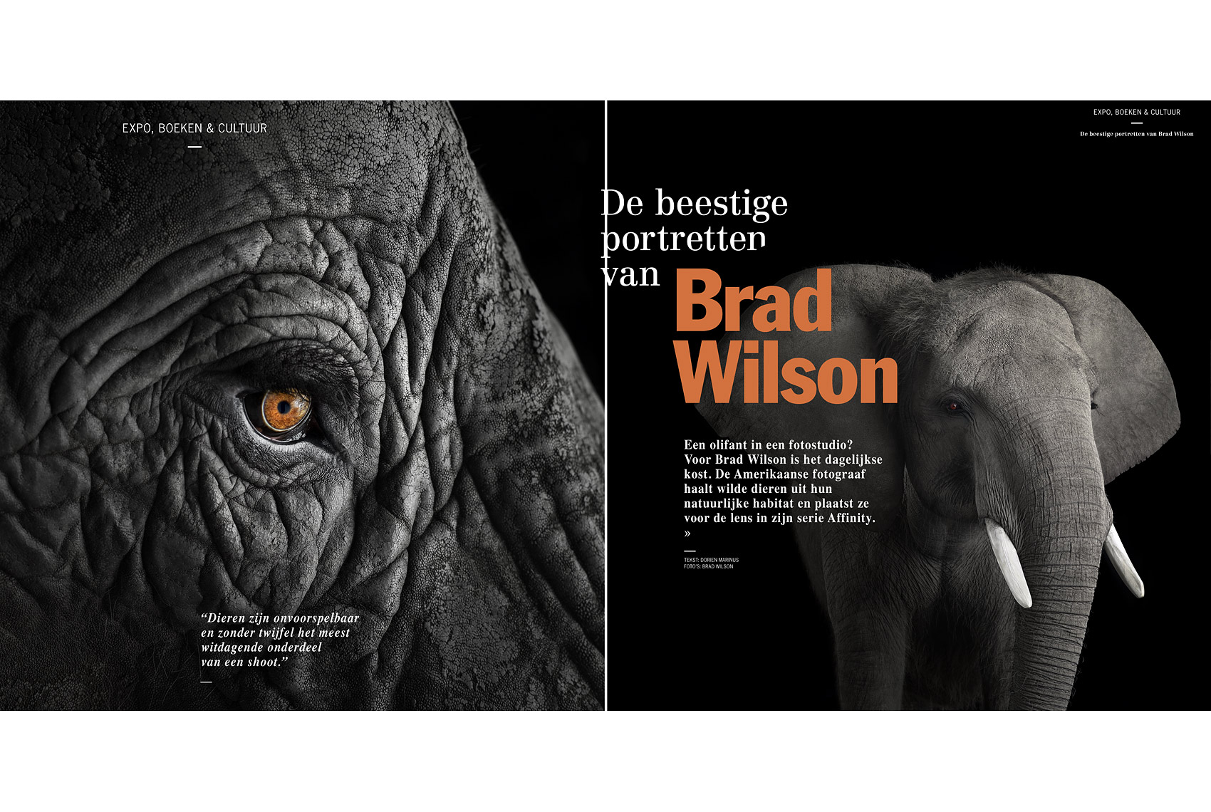 Porsche Magazine article about wildlife photographer Brad Wilson
