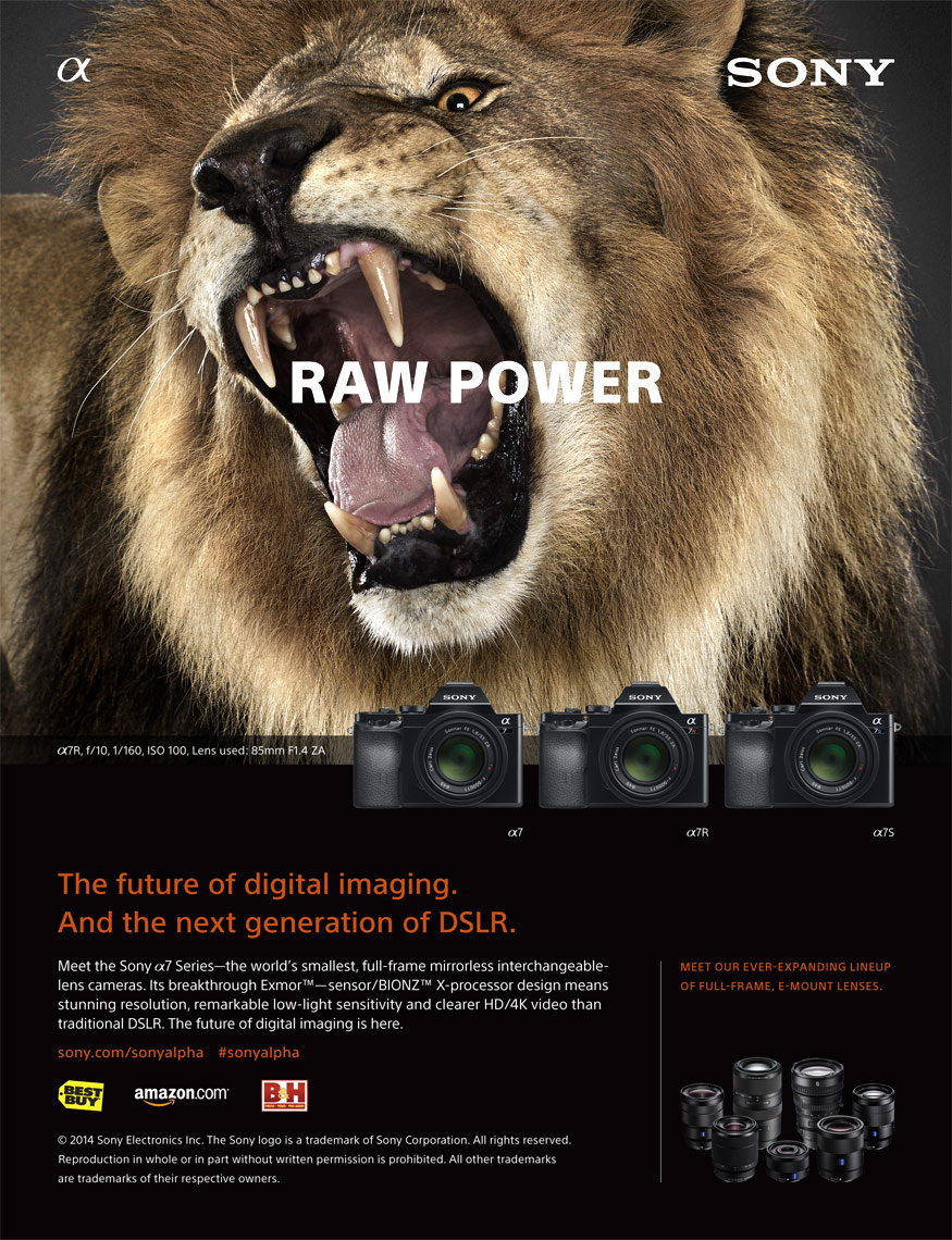 Sony advertisement by fine art animal photographer Brad Wilson