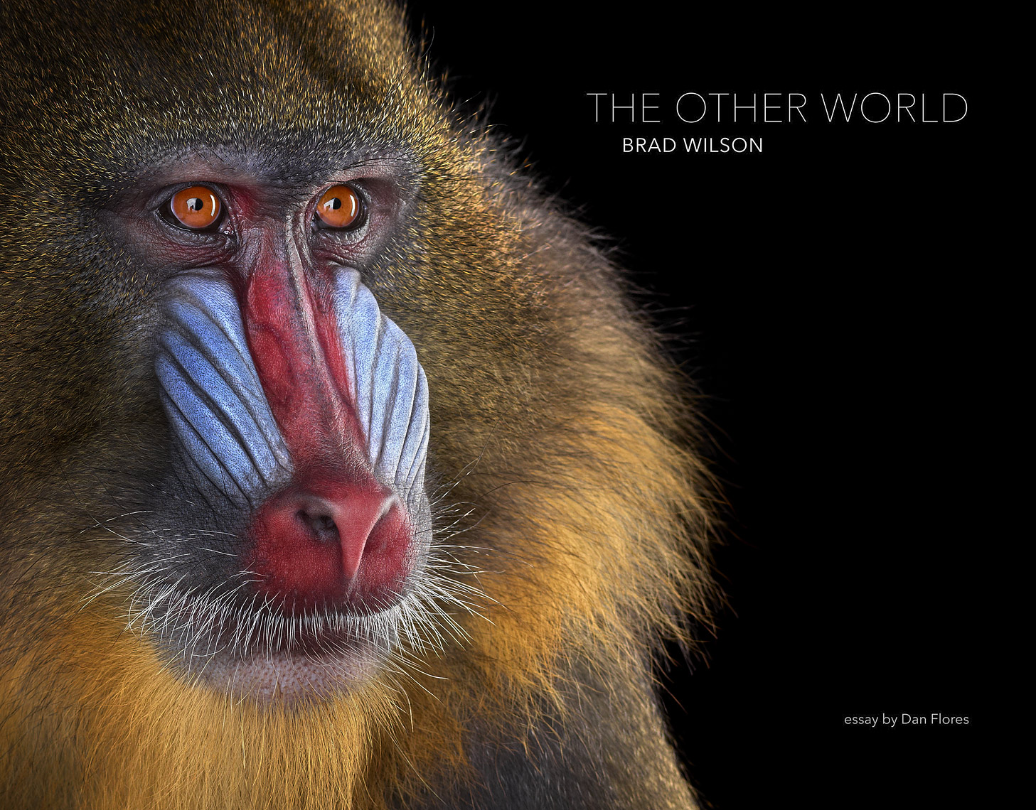 The Other World by fine art animal photographer Brad Wilson