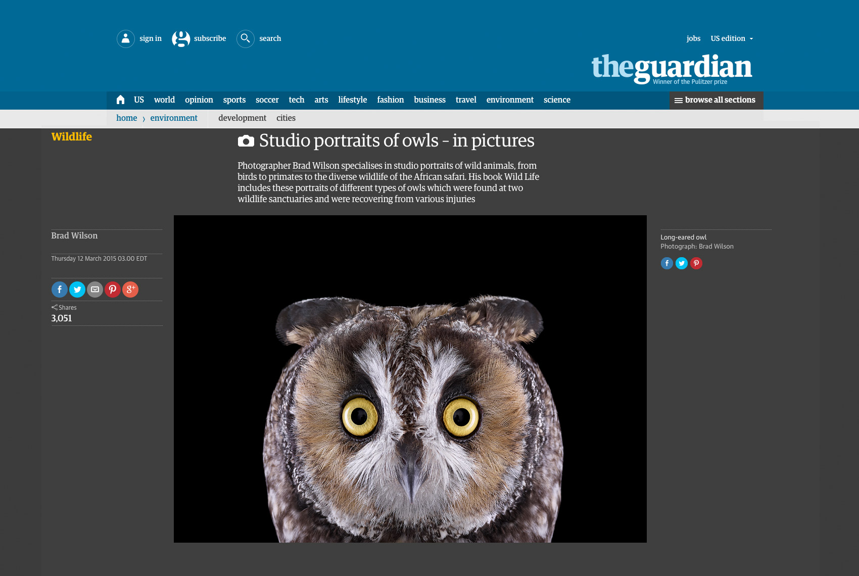 The Guardian  article about fine art wildlife photographer Brad Wilson