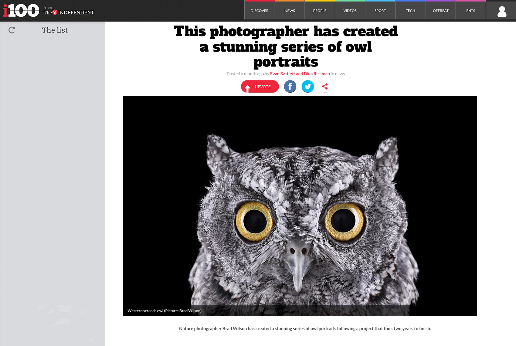 The Independent article about fine art animal photographer Brad Wilson