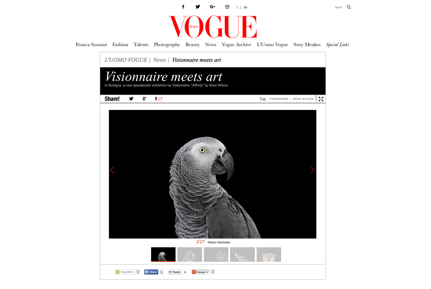 Vogue Italia article about fine art wildlife photographer Brad Wilson