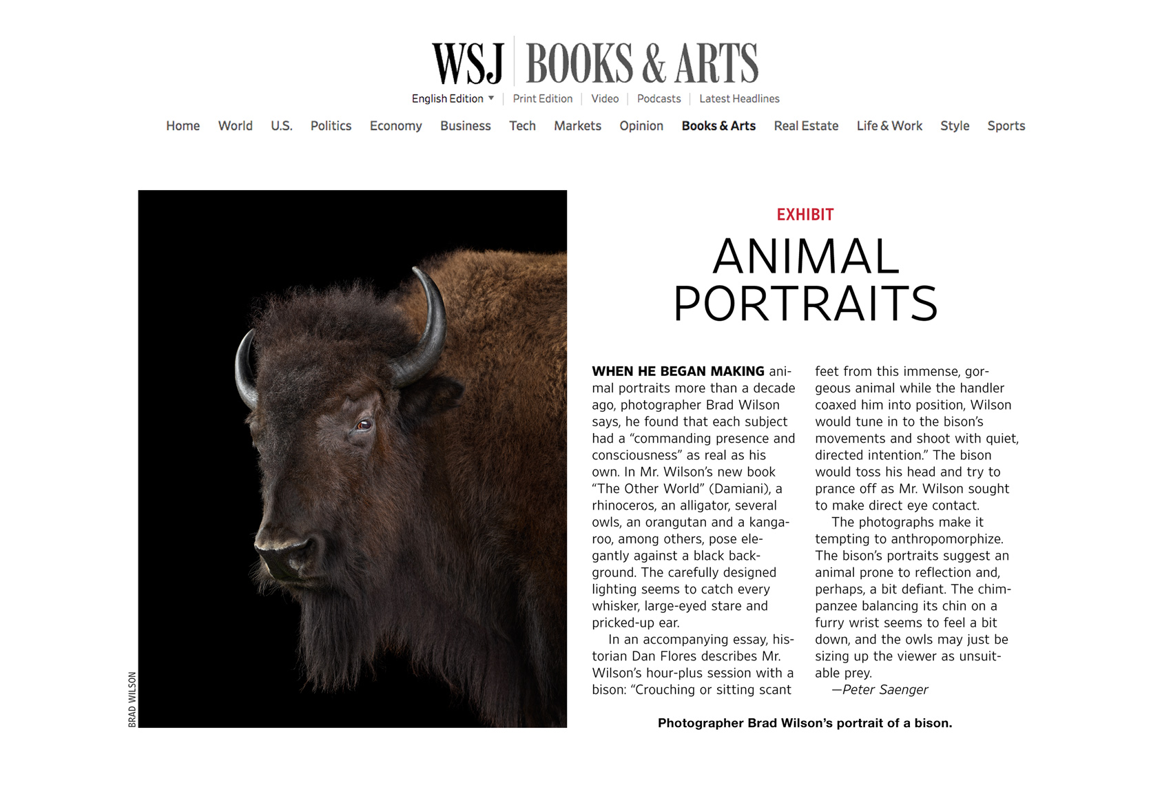 Wall Street Journal article about the work of wildlife photographer Brad Wilson