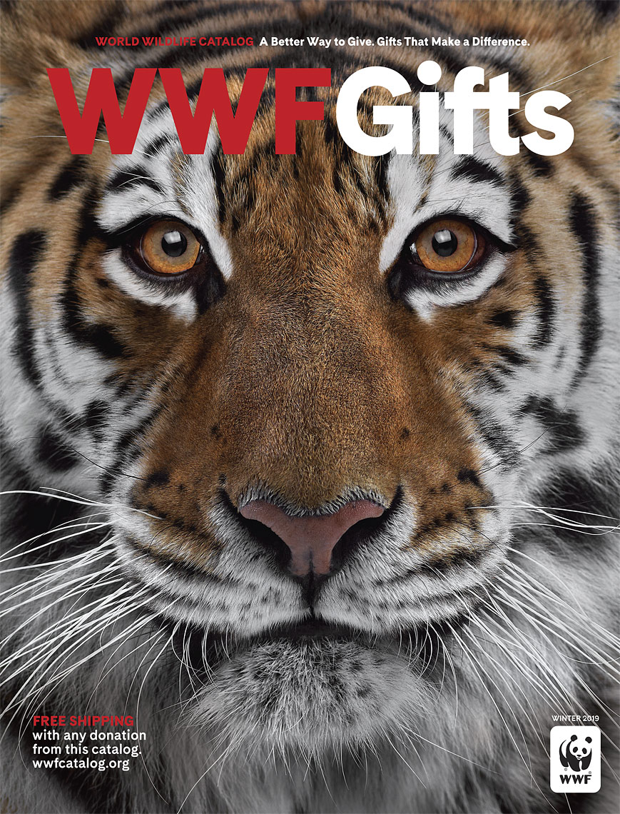World Wildlife Fund catalog cover by fine art animal photographer Brad Wilson