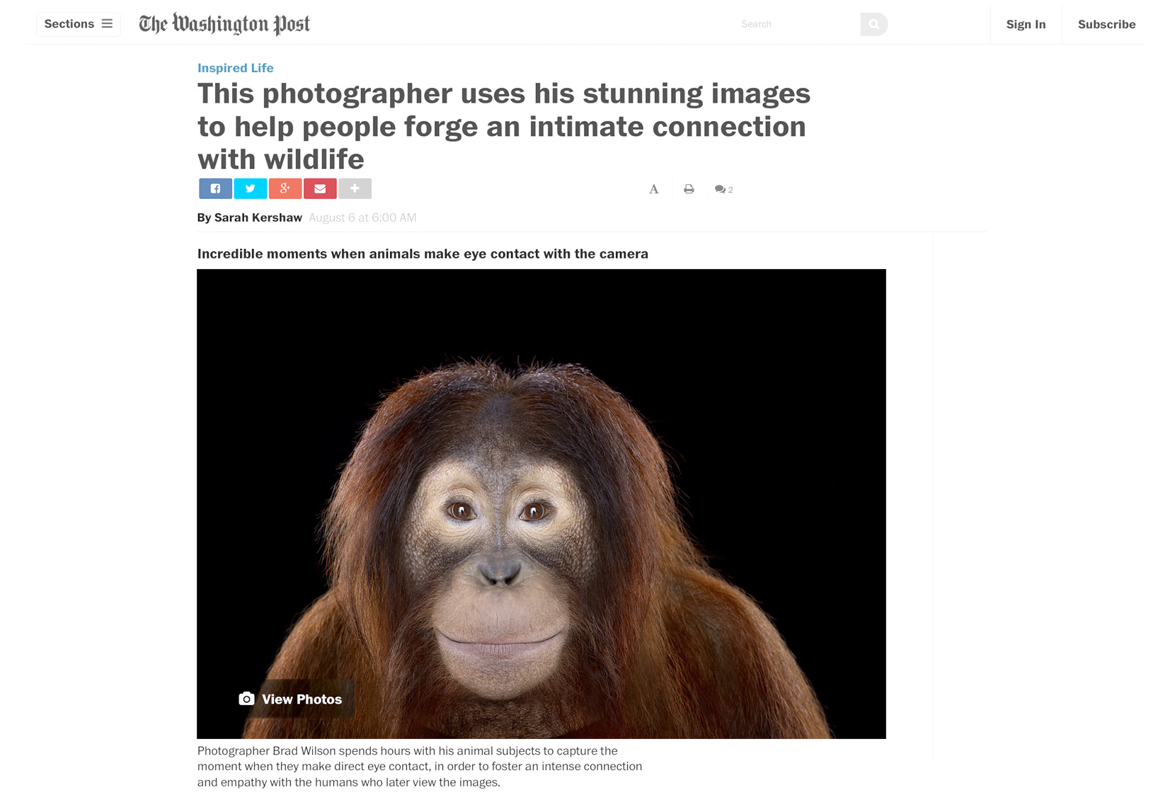 Washington Post  article about fine art wildlife photographer Brad Wilson